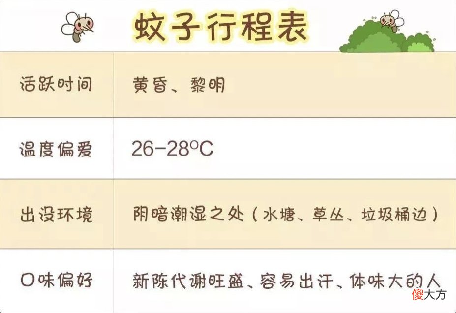 蚊子总喜欢追着宝宝咬?过来人传授3个小妙招,驱蚊止痒很管用