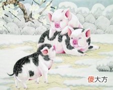 2019年属猪的人是什么命