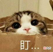 【游戏迷】任天堂发力！7月Switch平台游戏推荐！