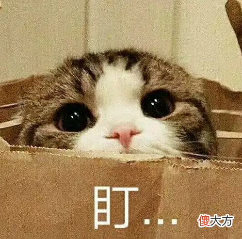 【游戏迷】任天堂发力！7月Switch平台游戏推荐！