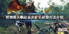 怪物猎人崛起金光矿石如何获得_金光矿石获取方法介绍