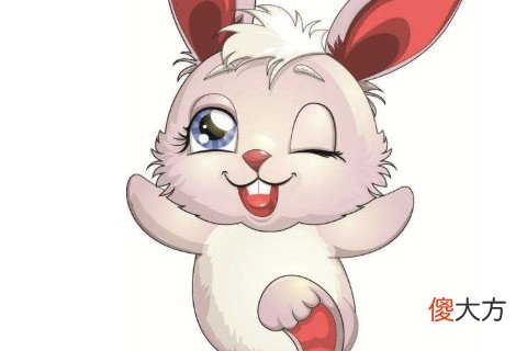 属兔2021年运势及每月运程 属兔人的2021年全年运势最准的预测