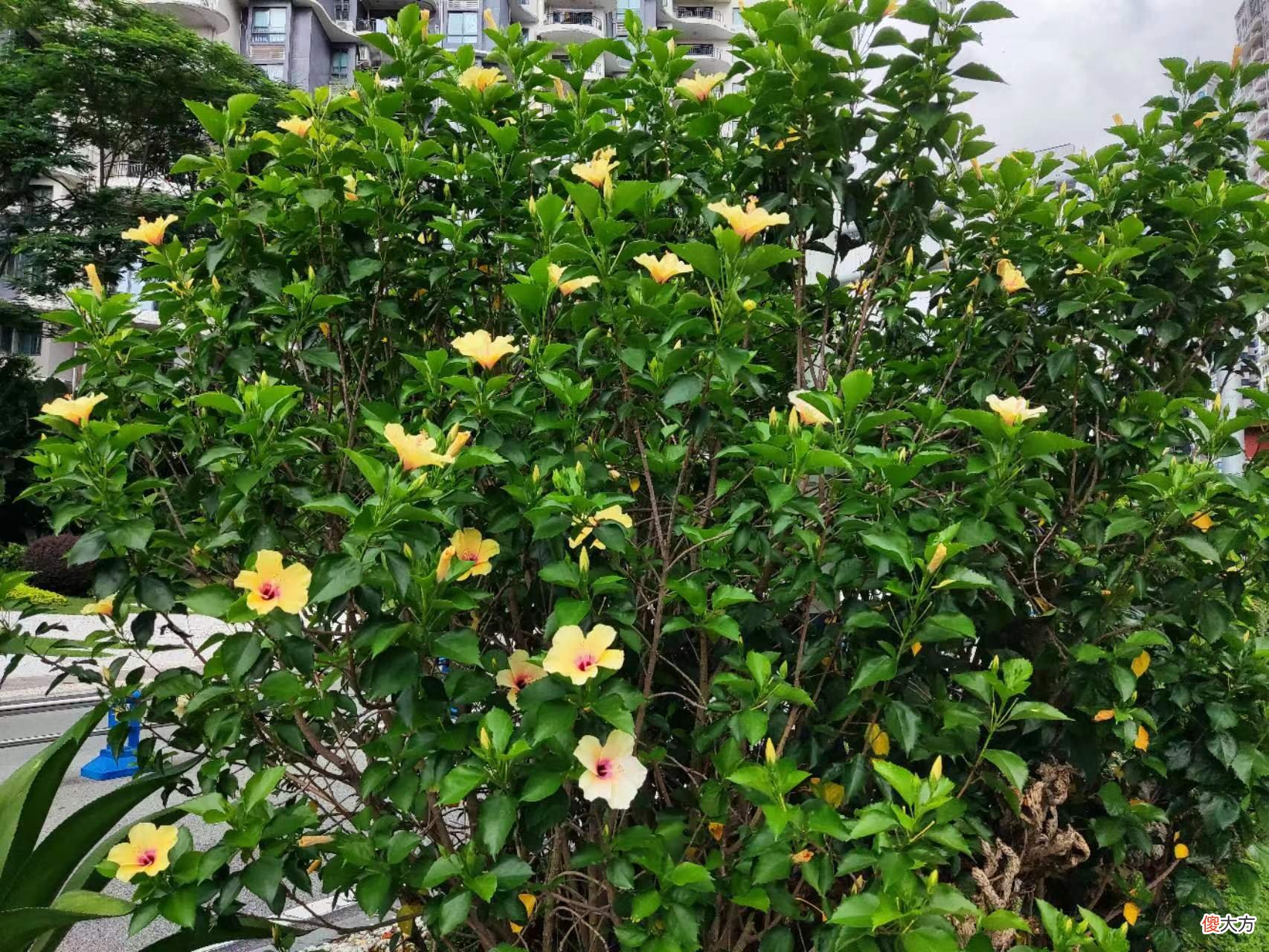 你的情感断奶了吗