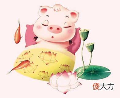 1995年属猪的人是什么命