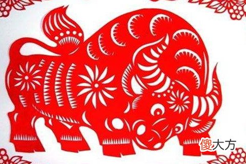 属牛2021年运势及运程,牛年人2021每月的运势表现