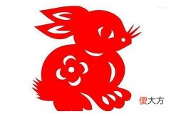 属兔2021年运势及运程,兔年人2021每月的运势表现