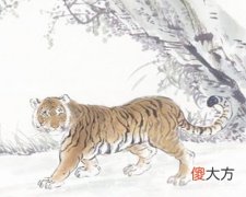 2010年属虎的人是什么命