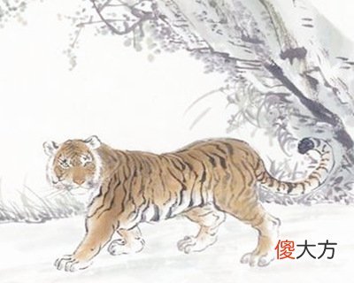 2010年属虎的人是什么命