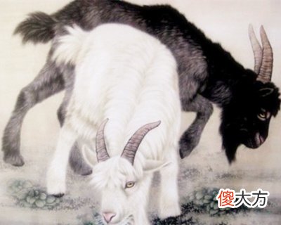 2003年属羊的人是什么命