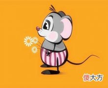 1996年属鼠的人是什么命