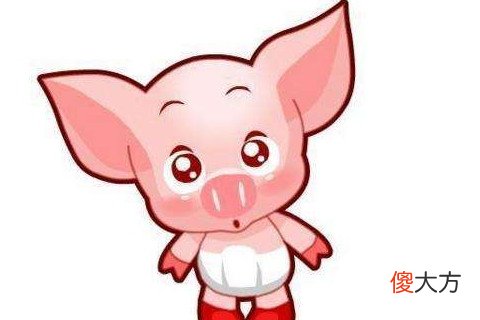 属猪2021年运势及运程,猪年人2021每月的运势表现