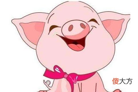 属猪男人喜欢什么类型的女人