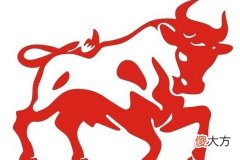 属牛男人对待感情是怎样的呢