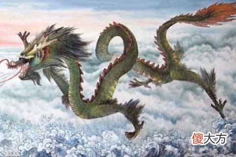 属龙的命运好不好