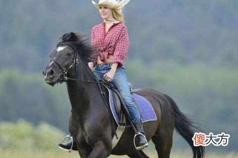 属马的女人和什么属相最配