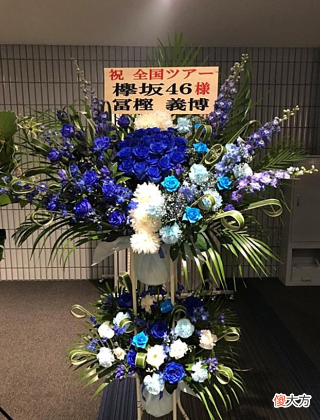 【游戏迷】富坚义博的推特账号，变成了互联网文化卢浮宫