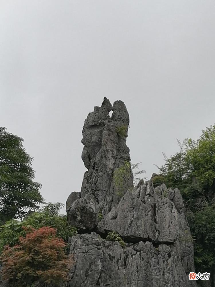 【游戏迷】6月，再献两次血我就升黄金了