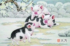 属猪的女人和什么属相最配