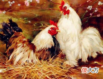 属鸡2020年的贵人有哪些