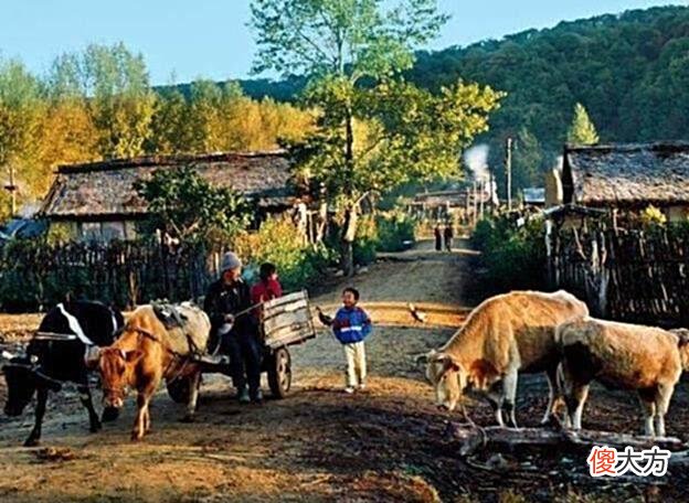【爱历史】摄影师拍下70年代老照片：图1你家还有吗？图4清贫却热热闹闹的！