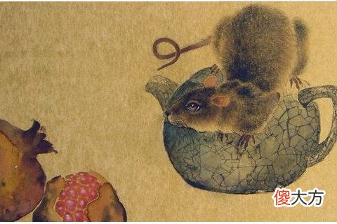 鼠宝宝哪个时辰出生好