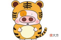 虎宝宝哪个时辰出生好
