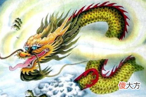 属龙的好不好