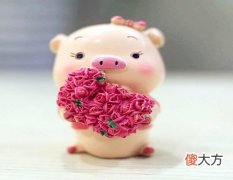 属猪人2021年结婚好吗