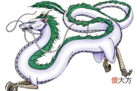 属龙男人不喜欢你的表现