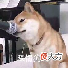 【游戏迷】盘点王者流传的那些“梗”，你真的知道出处吗？