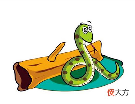 2021年属蛇财运如何