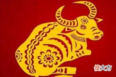 属牛女人喜欢什么类型的男人