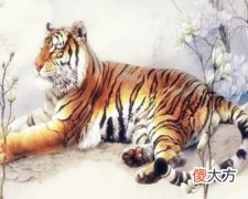 1974年属虎的人是什么命