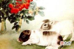 属猪女人喜欢什么类型的男人