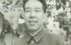 【爱历史】他顶替黄永胜当八纵司令，被林彪穿小鞋，大授衔仅成开国少将