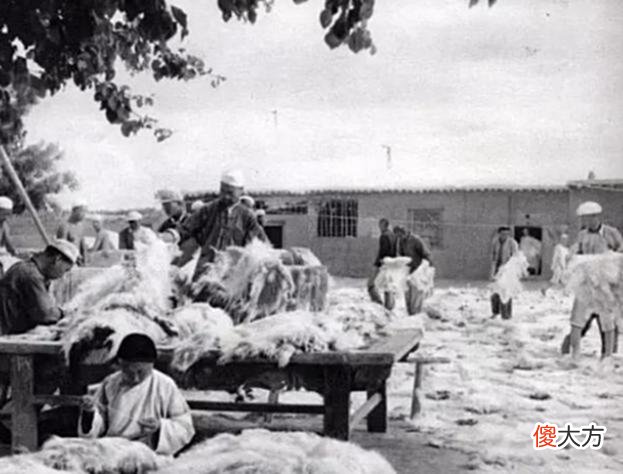 【历史故事】老照片:宁夏1970年的照片,匆匆的时光令人无限感慨!