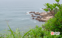 属鼠人做哪种生意最旺