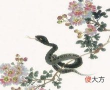 1989年属蛇的人是什么命