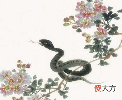 1989年属蛇的人是什么命