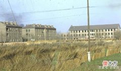 【爱历史】老照片：1970年代的天津，平静安逸的生活，老天津人永恒的记忆