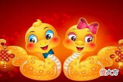 属蛇的特点和特征