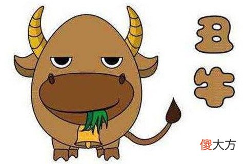 生肖牛和什么生肖最配