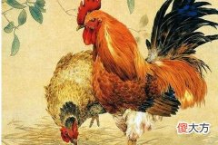 生肖鸡和什么生肖最配