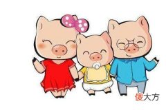 生肖猪和什么生肖最配