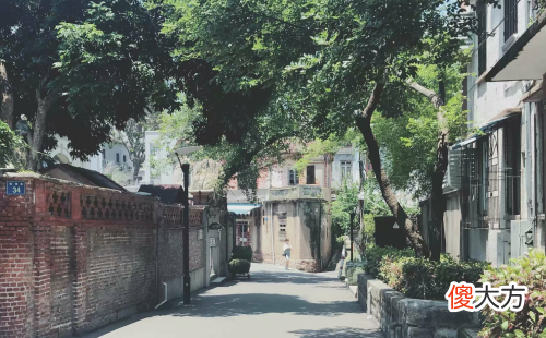 2019年属鼠如何提升桃花运