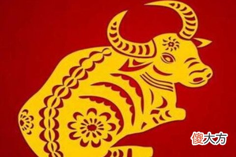 属牛的男人对待感情的态度