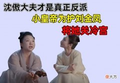 【爱历史】我叫刘金凤：沈傲大夫才是真正反派，小皇帝为护刘金凤将她关冷宫