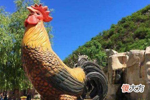 属鸡一生运程好不好