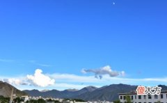 生肖鼠2019年下半年运势