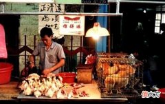 【爱历史】老照片：1991年的广东广州，这些照片让人瞬间回到了年少时光